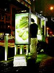 distance- hyperrealism acrylic painting by artist painter Gerard Boersma showing a man late at night placing a telephone call in a Verizon telephonebooth in New York, street scene, cityscape
