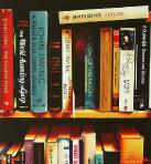 english literature - hyperrealism acrylic still life painting by artist Gerard Boersma showing bookshelf books english literature