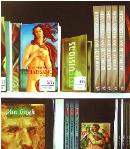 art bookshelf- lays- hyperrealism acrylic still life painting by artist Gerard Boersma showing books on art, renaissance, botticielli, venus, van goh, self portrait, michelangelo